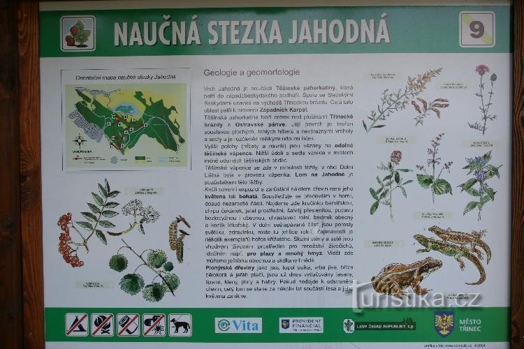 pod jagodom: poučna staza za jagode