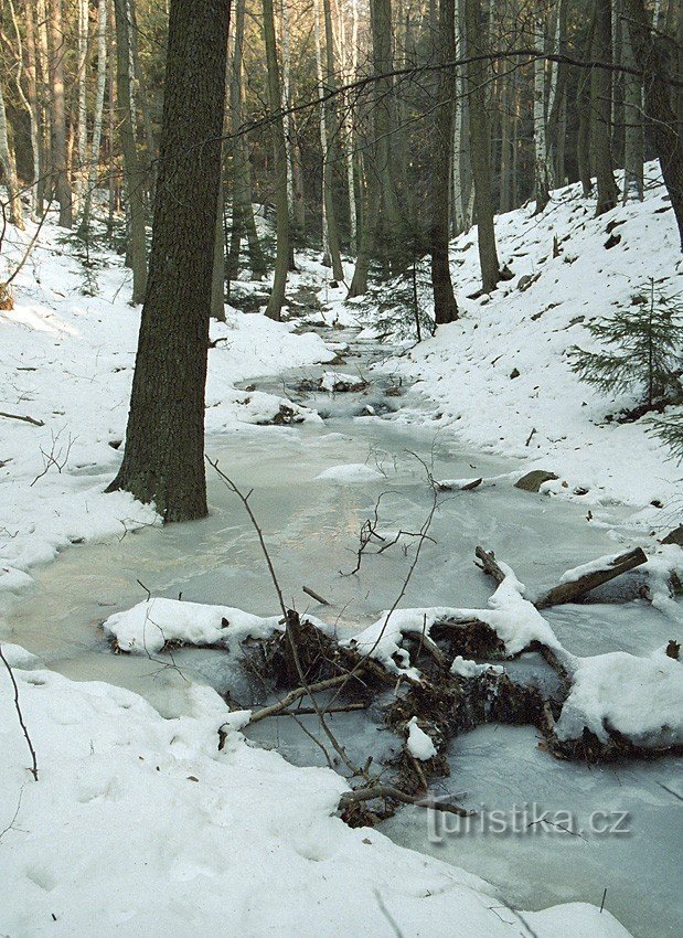 Pod Jeléníjem Paloukyjem