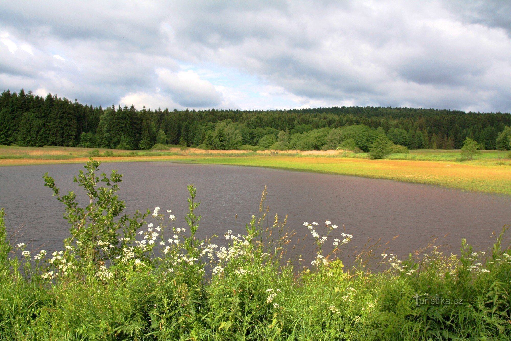 Under stenbakken - naturreservat