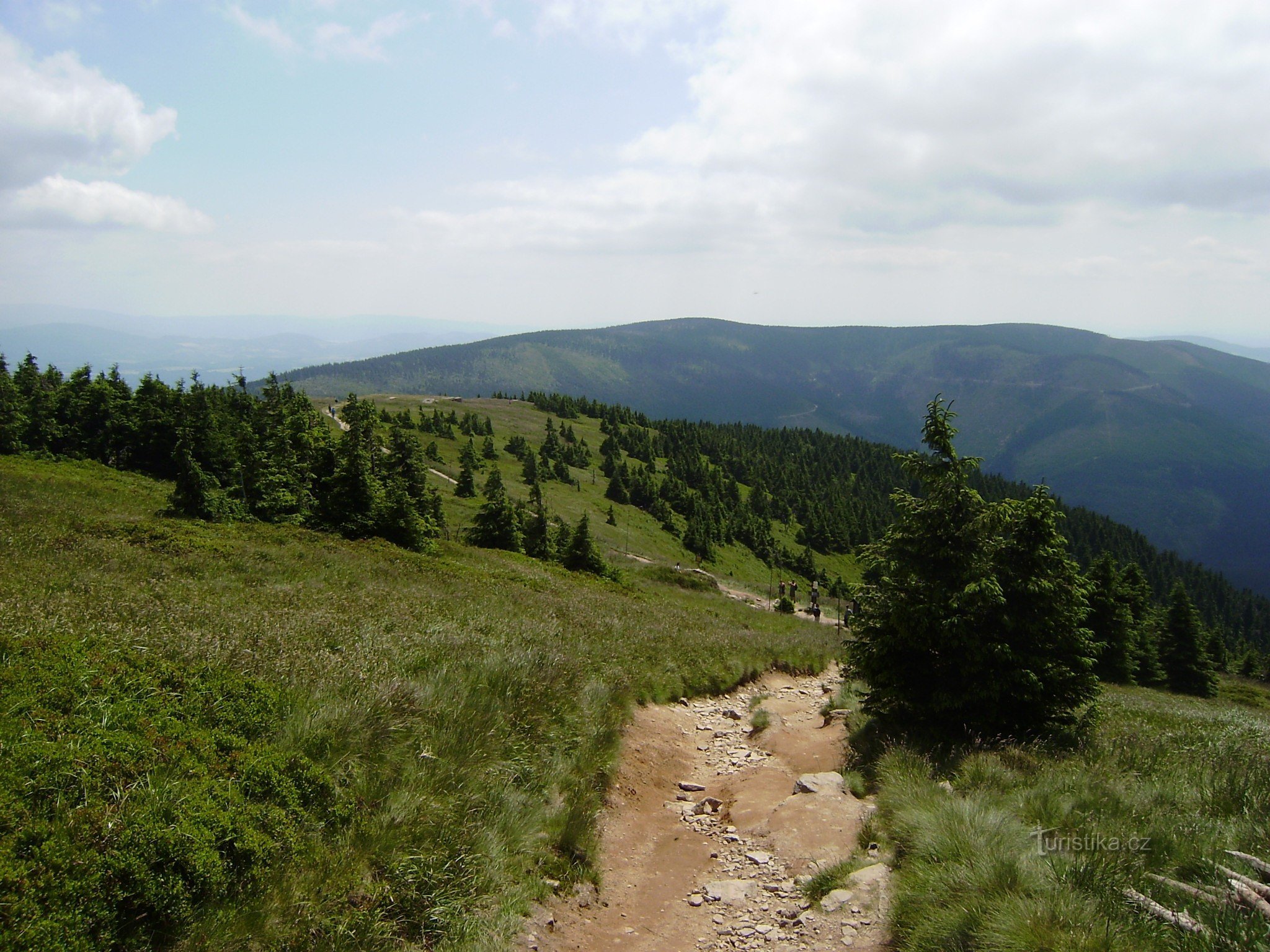 Under Králický Sněžnik