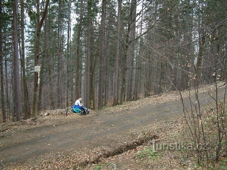 A medvekő alatt