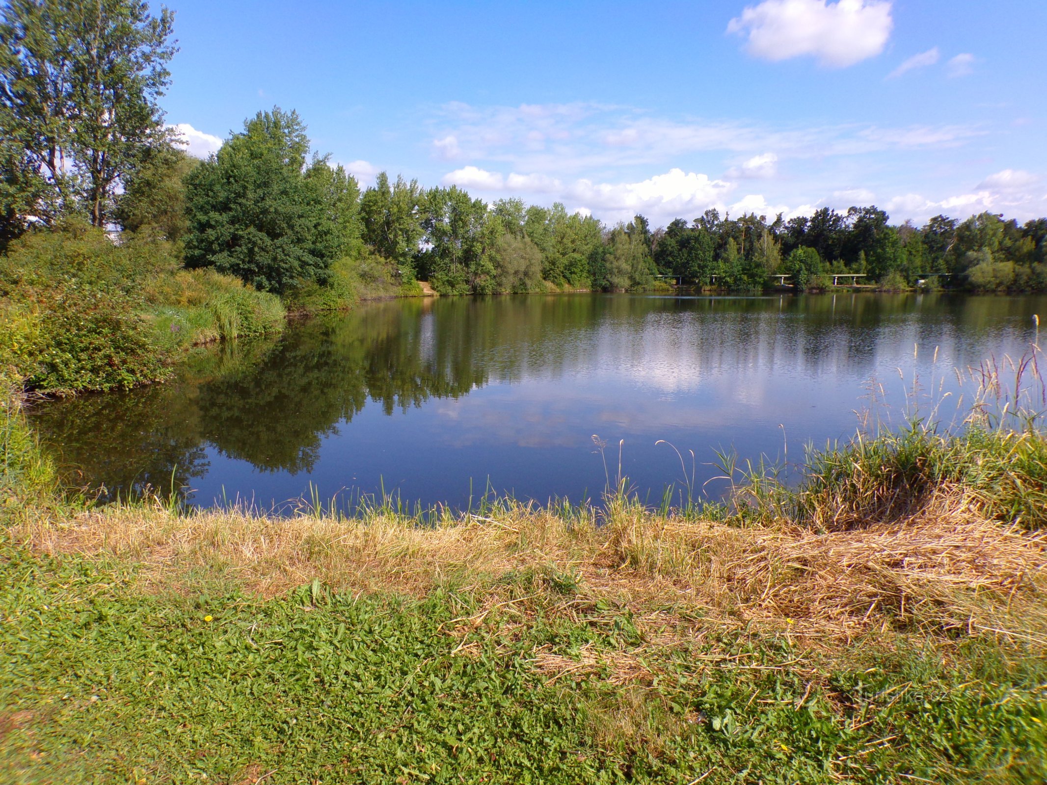 Under Møbler (Hradec Králové, 27.7.2022/XNUMX/XNUMX)