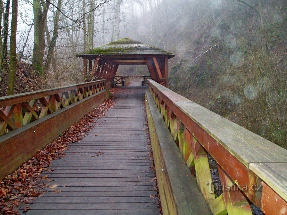 Unter uns plätschert der Eichhörnchenbach