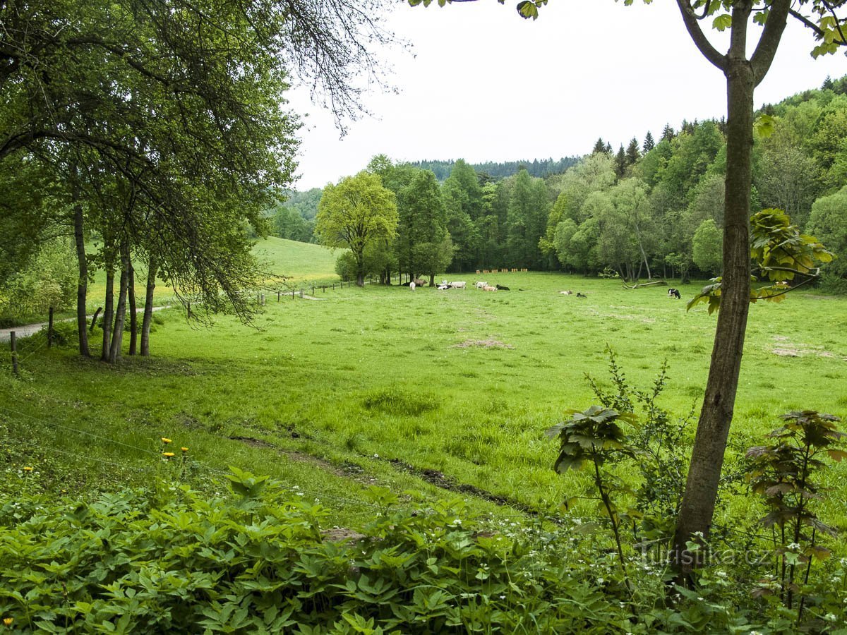 Under Pekařov