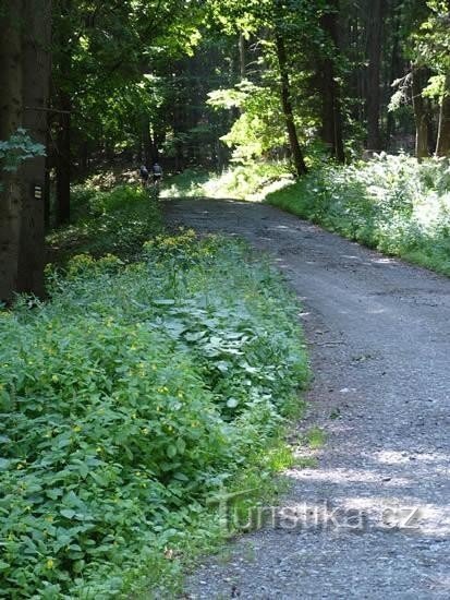 Under Rabštejn