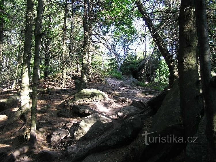 Unter dem Aussichtsturm