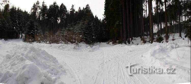 Sous Serpentinka : Vue depuis le chemin menant en amont du ruisseau Zvonějovské. Place