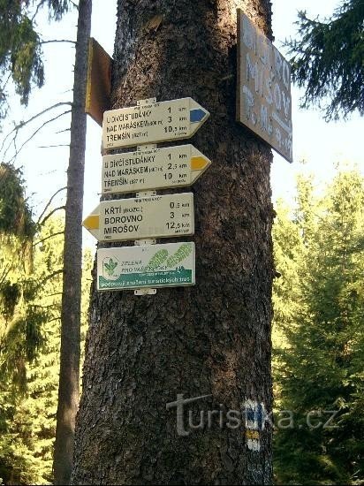 岩の下 - 交差点: 標識の詳細