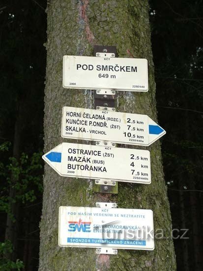 Pod świerkiem