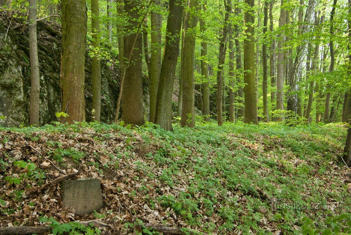 Sous le pied de Třesín