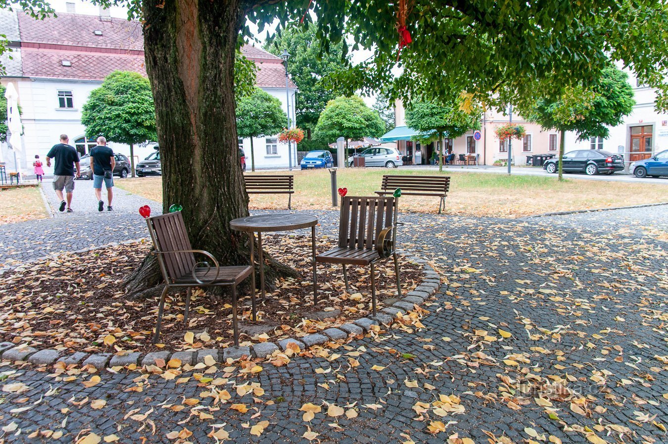 Onder een volwassen lindeboom