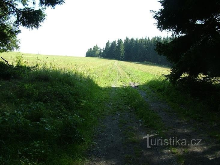 Під Залізною горою