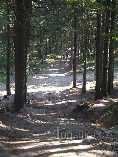 Unter den verlorenen Steinen: Blick auf die Kreuzung von Norden