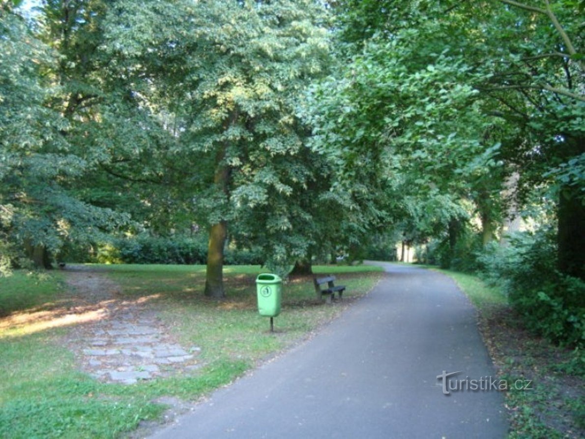 Podebrady-SKNeumana parque-SKNeumana busto-Foto: Ulrych Mir.