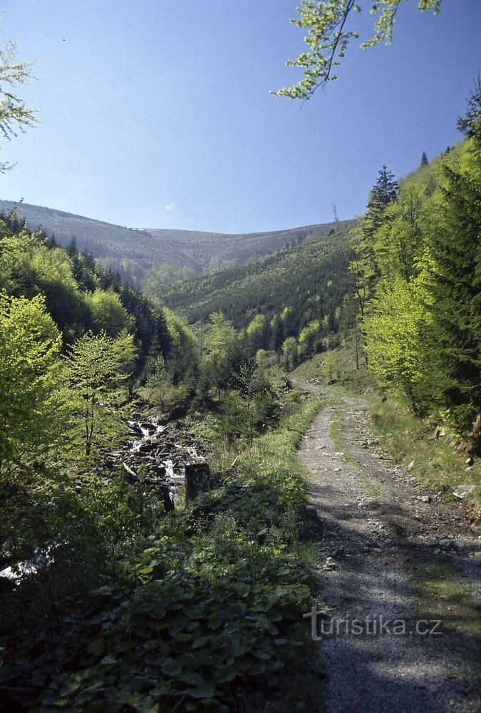 Le long du ruisseau Borové