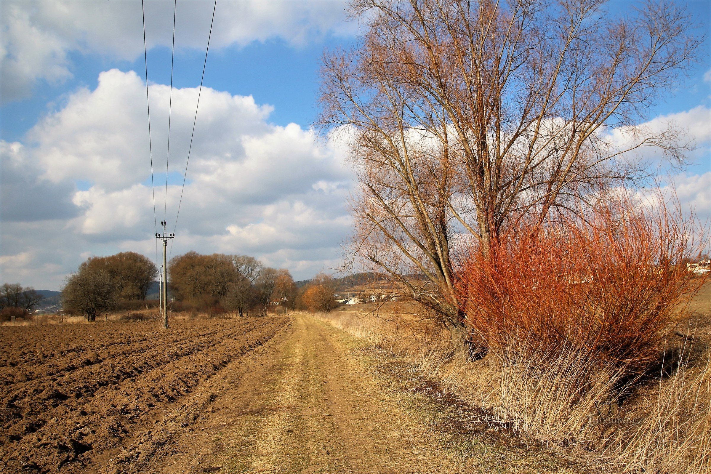 Along the Čebínské brook