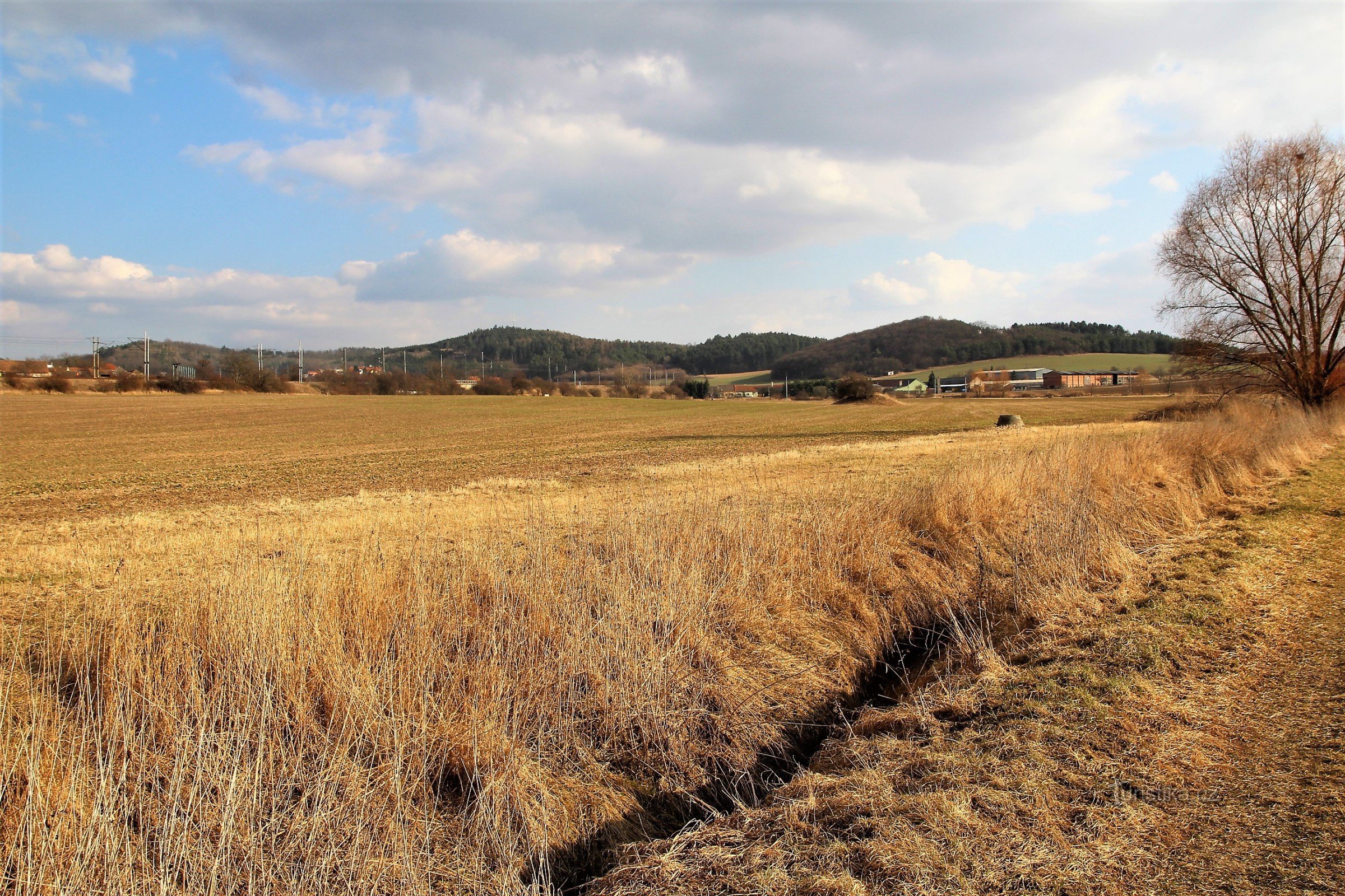 Along the Čebínské brook