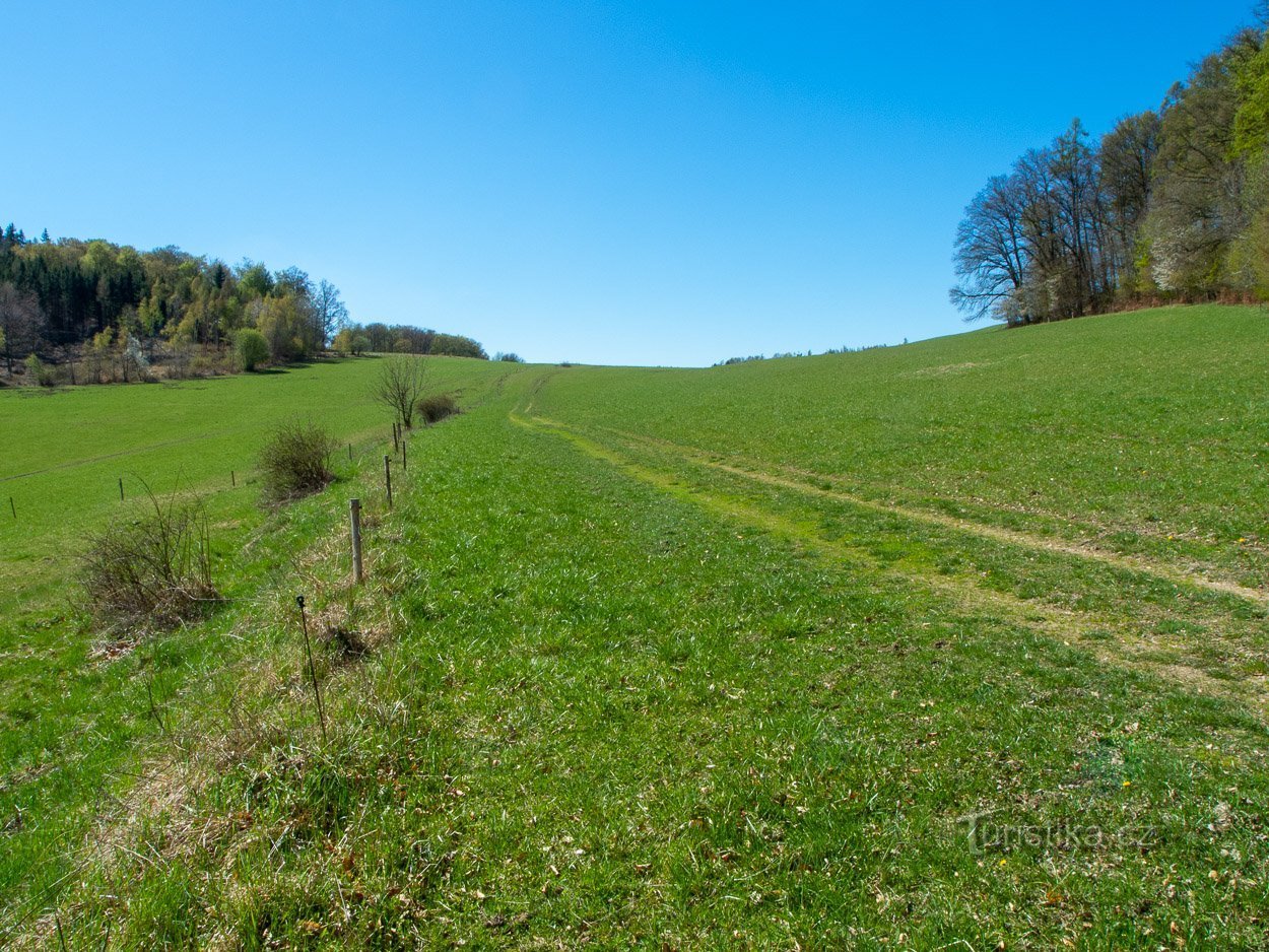 Along electric fences