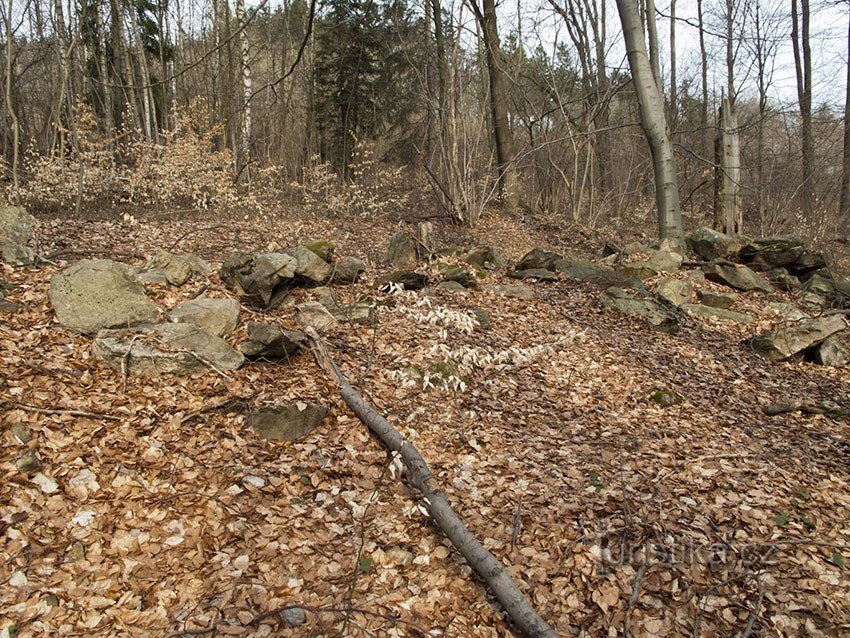 Um agrupamento suspeito de pedras em algum lugar na área do jardim