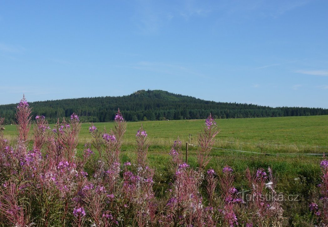 Vorgebirge