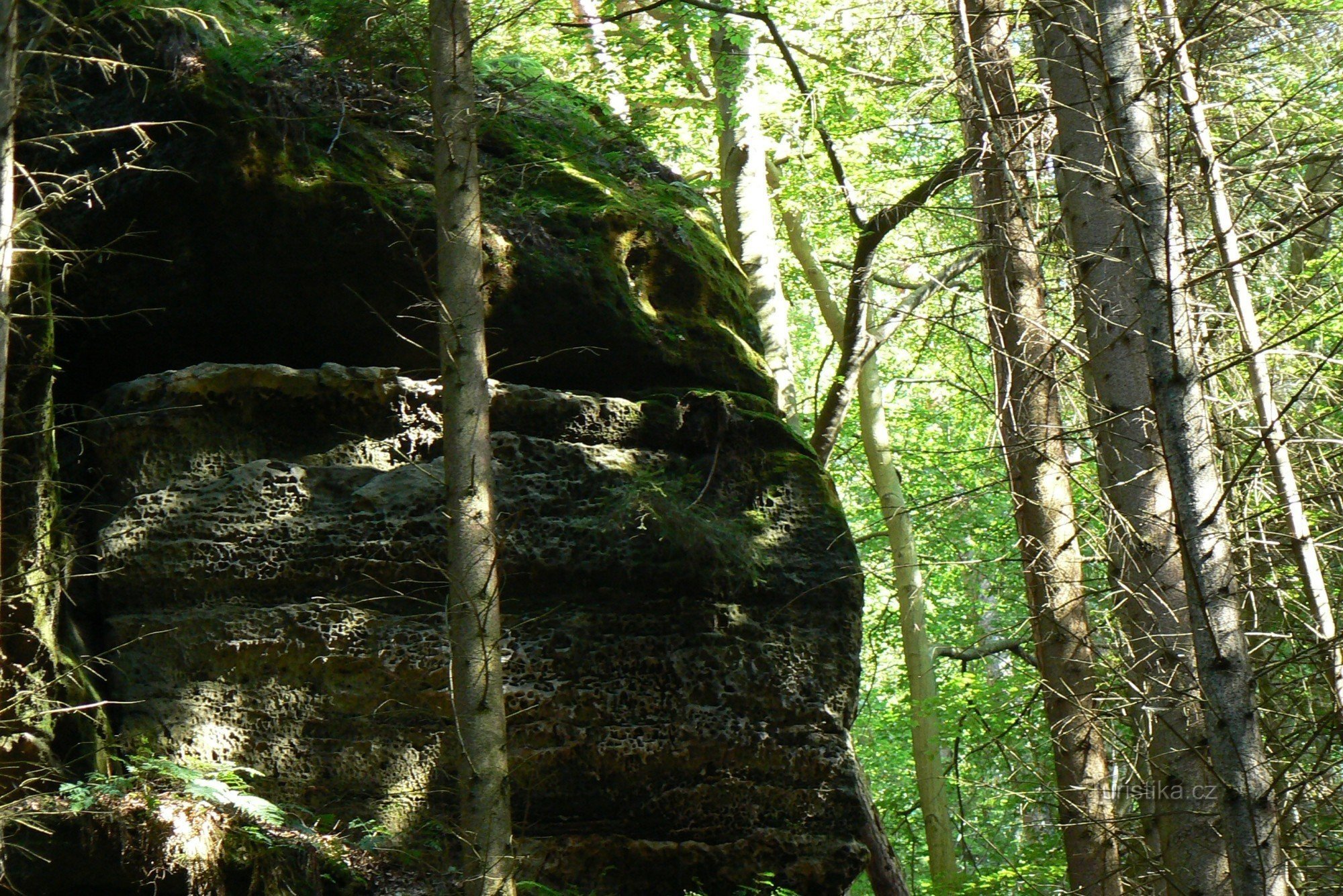 Podhradská cesta - opica