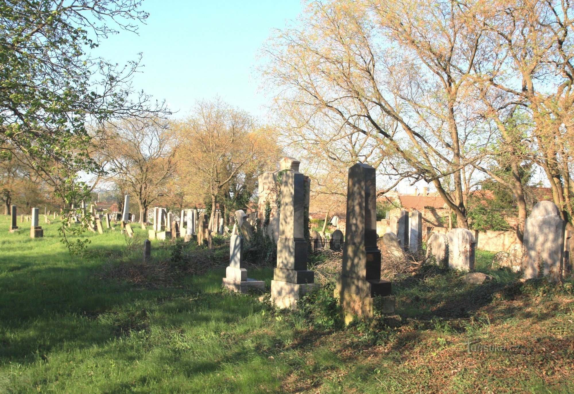 Weird - Jewish cemetery