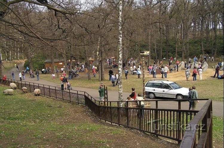 Podkrušnohorský zoopark: Παιδικός ζωολογικός κήπος