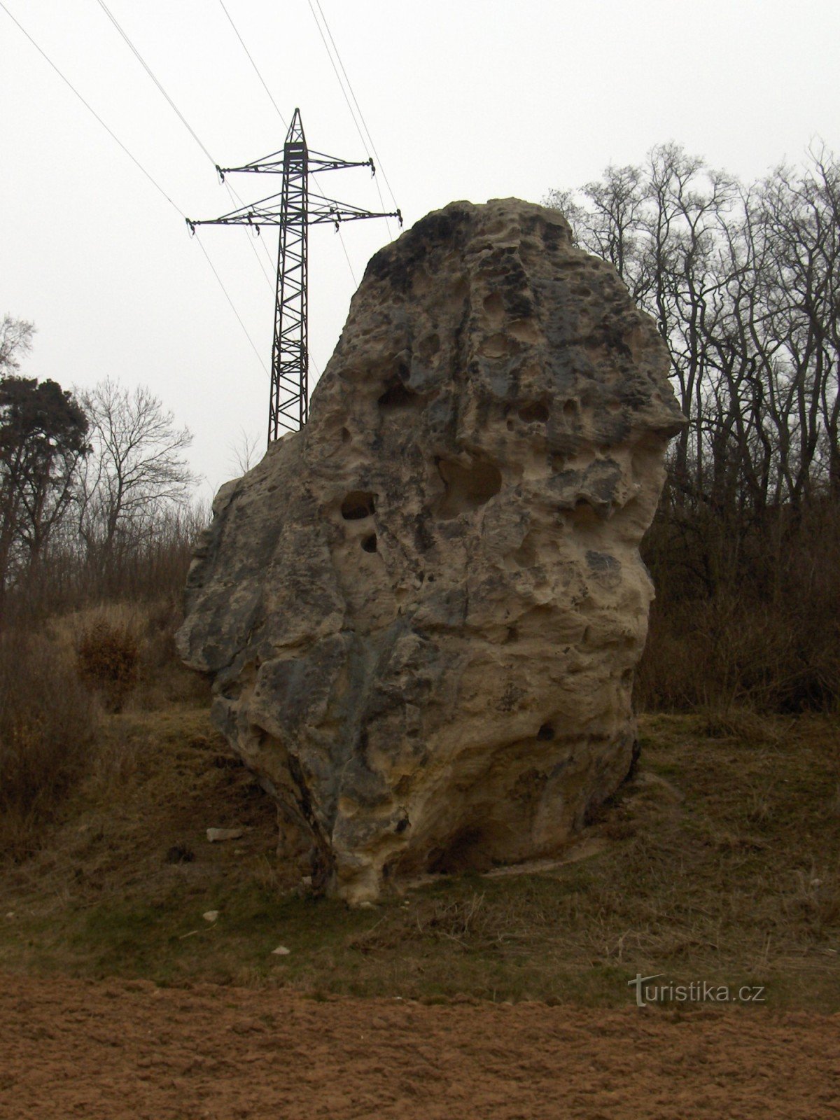 Podlesin needle