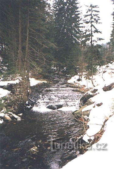 Podolský potkok: Bäck som rinner förbi skylten U _karedé jedle.