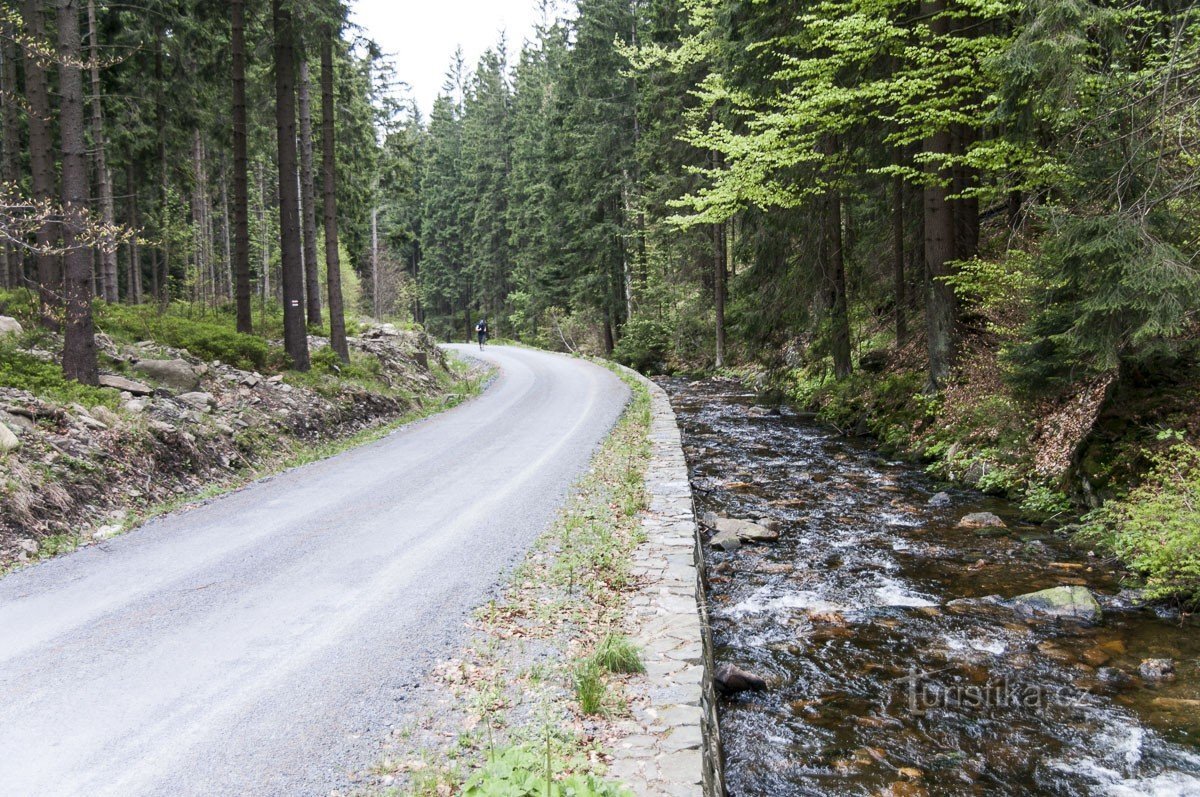 Podolsky stream