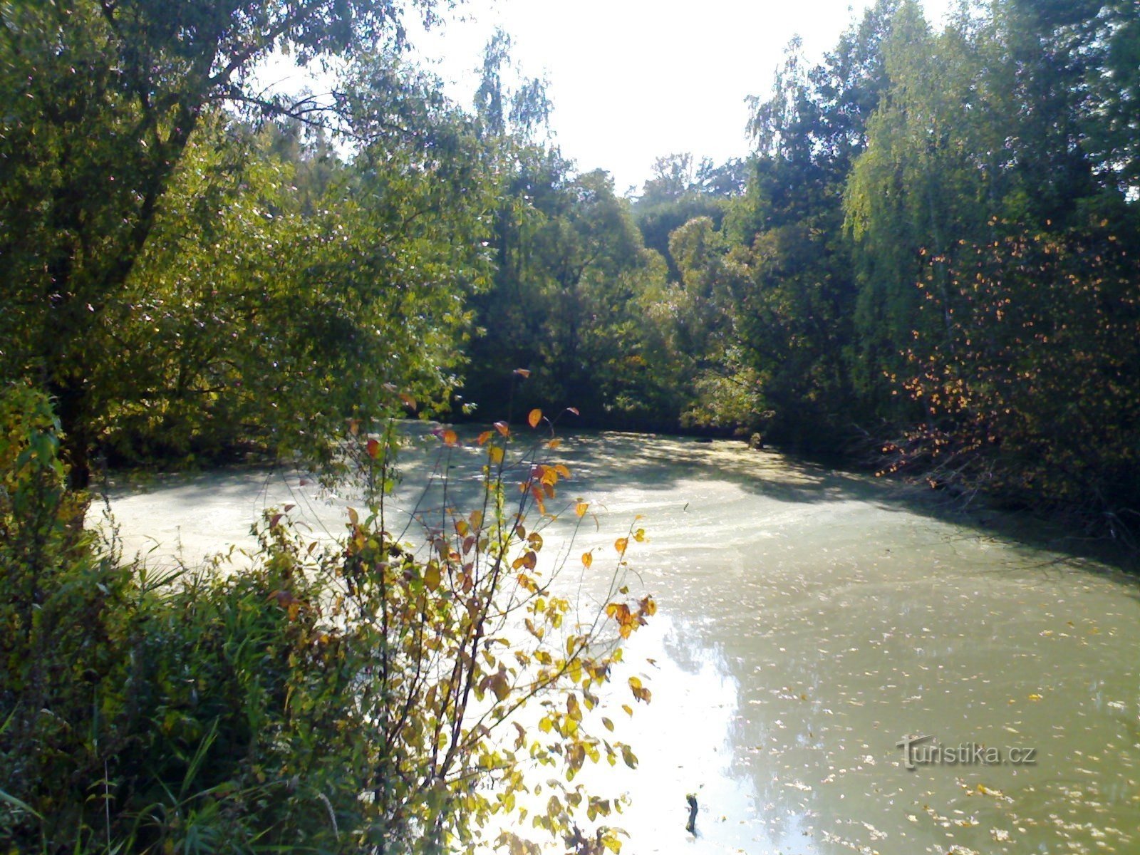 Podorlica educational trail