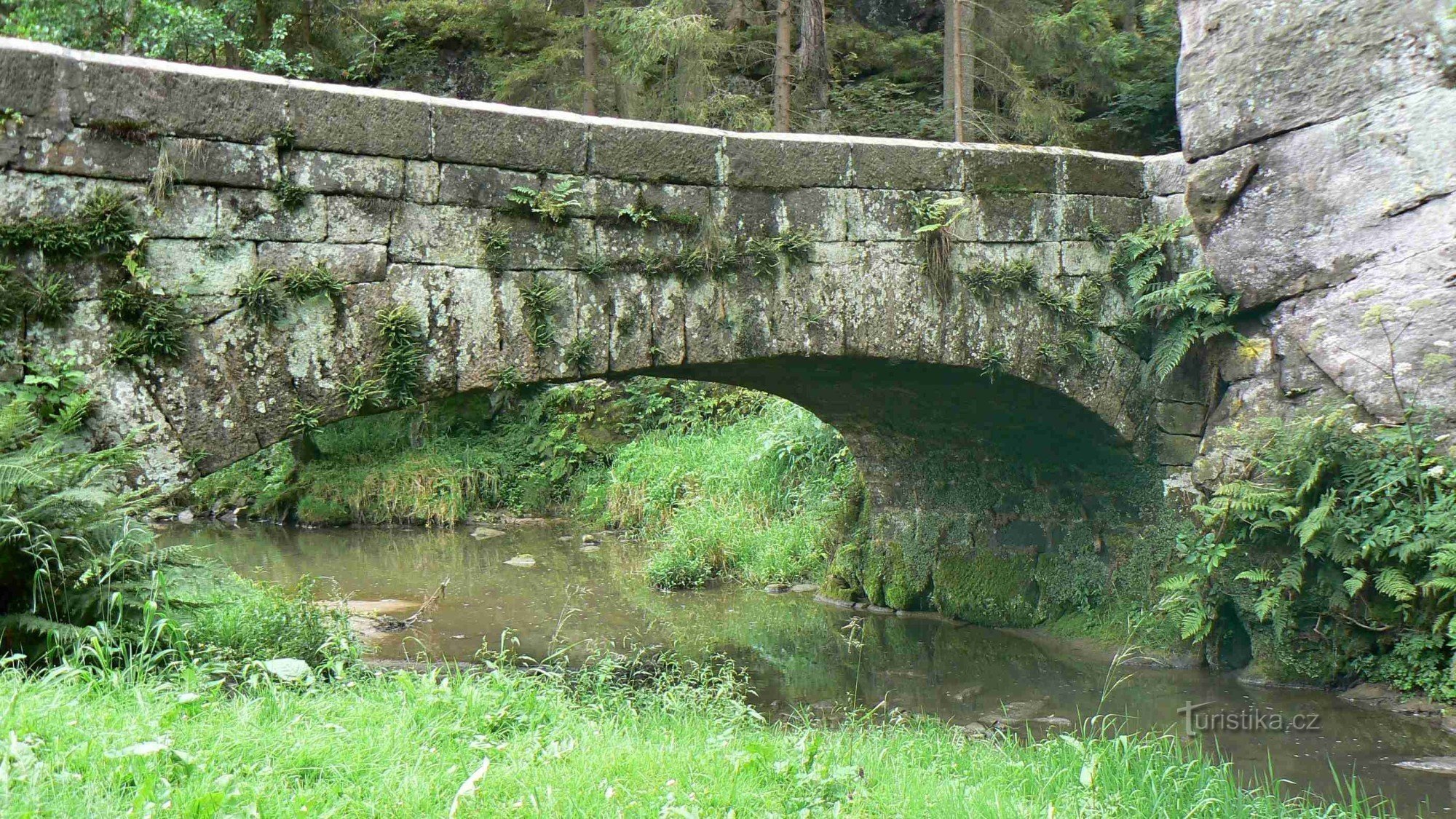 ponte de podsemín