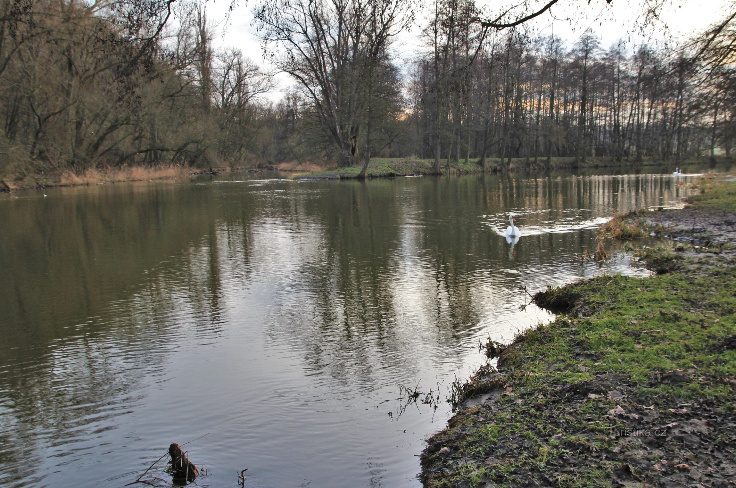 Een vroege avond idylle in het vroege voorjaar aan de samenvloeiing van Jihlava en Rokytná