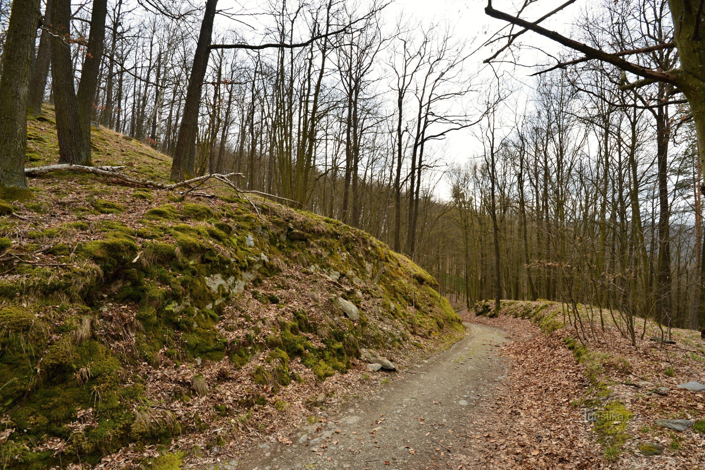 Podyjí - the road to Nové Hrádek