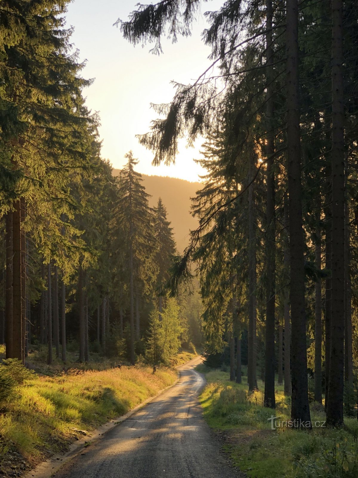 Der Herbst ist schön im Riesengebirge. Foto: Radek Drahný