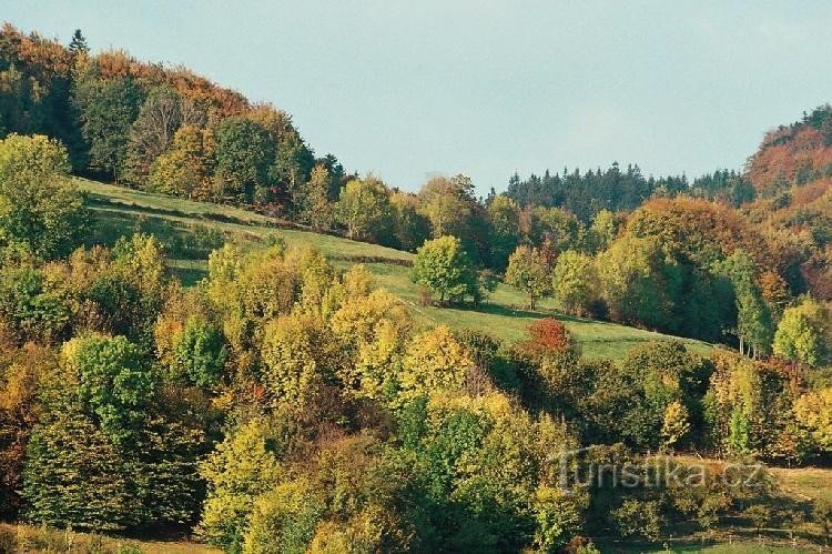 Herfst in Hořansk