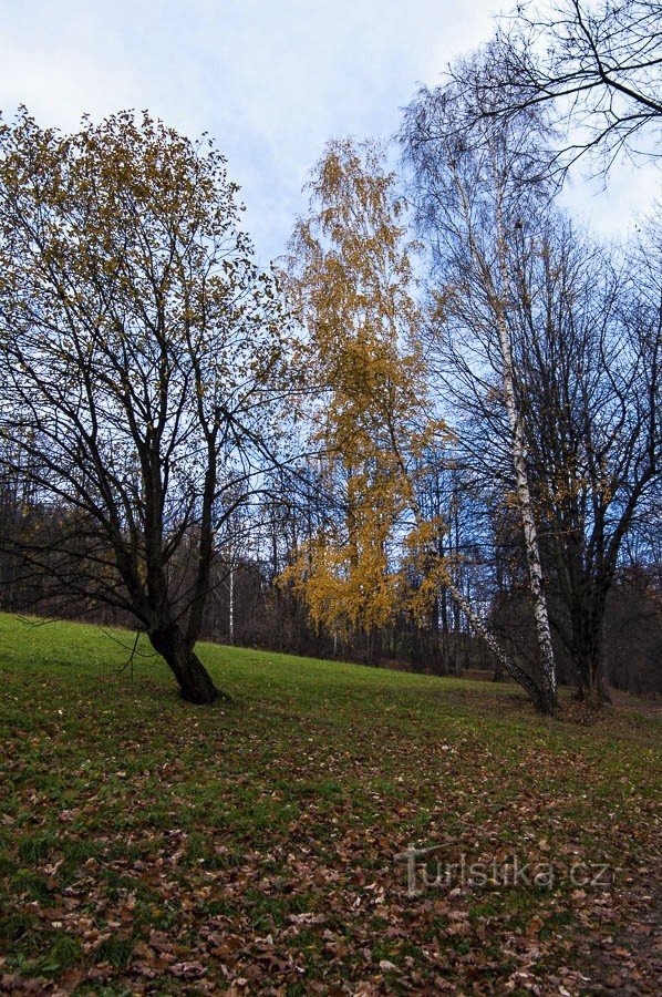 Autumn on the Musician's Trail