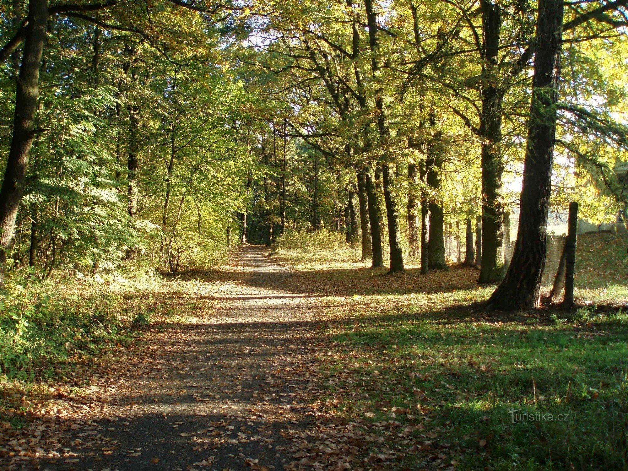 Herbst auf Ostrovec