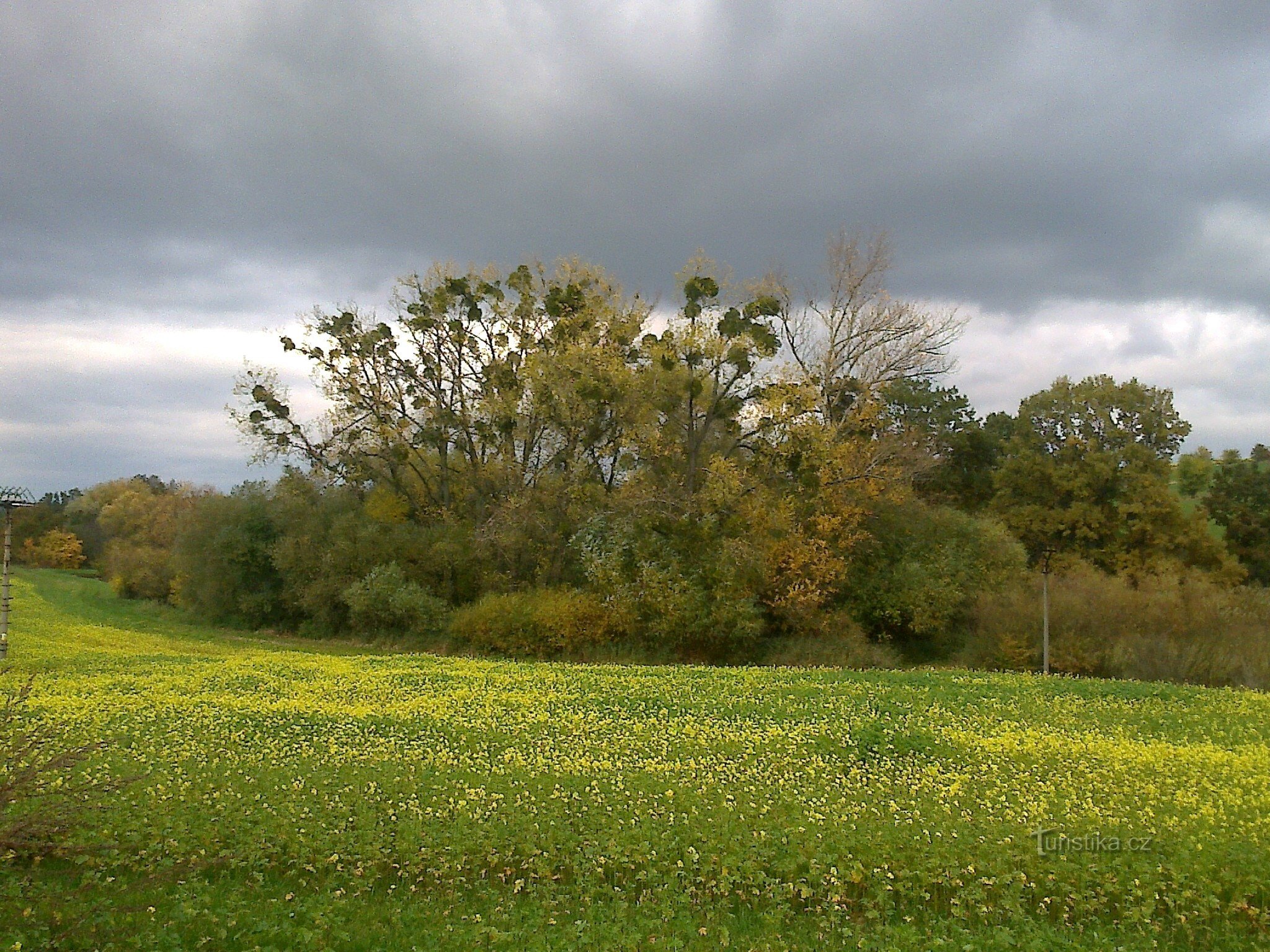 Herbst unter Měník