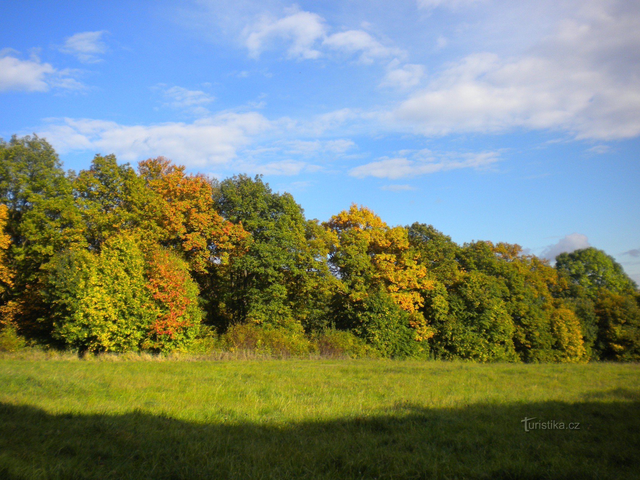 Herbst unter Zbožna.