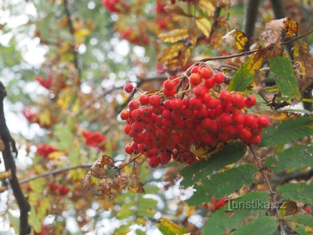 L'autunno sta arrivando