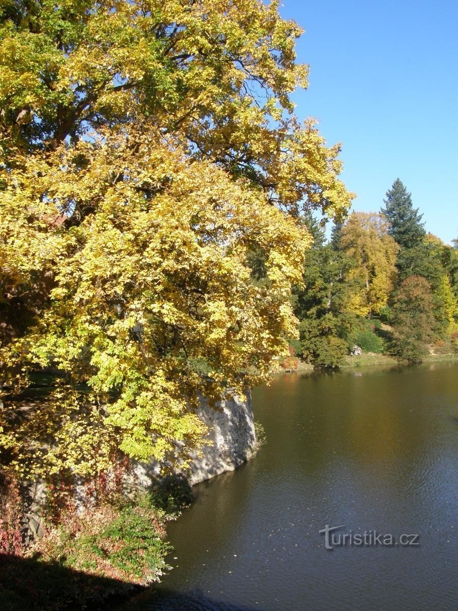 Autumn has already come to Červená Lhota