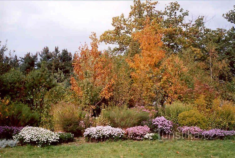 Herfst in het N.Dvůr Arboretum