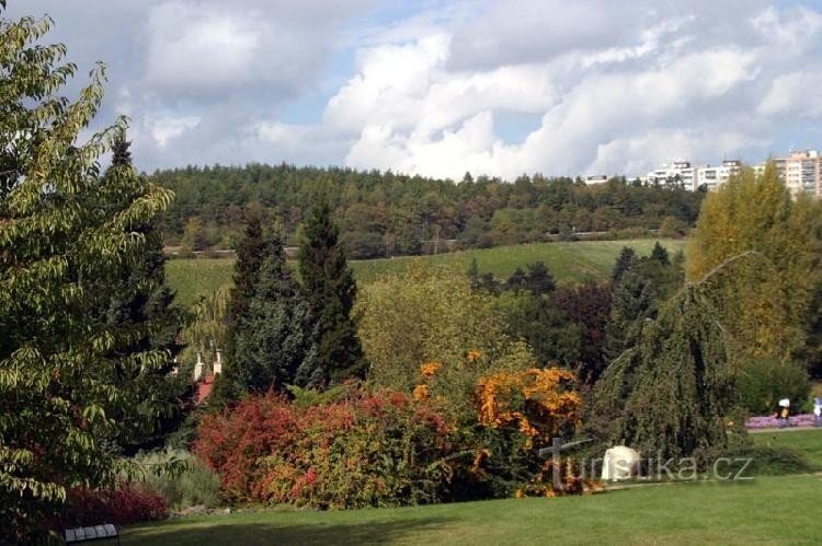 Toamna in gradina botanica