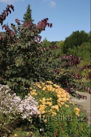 Efterår i den botaniske have