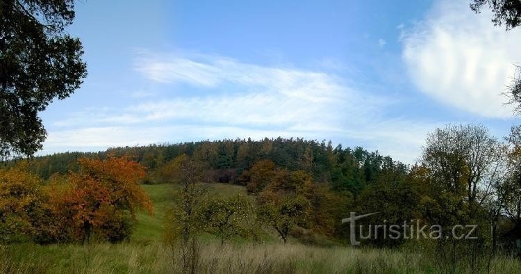 Herbst in Čaková