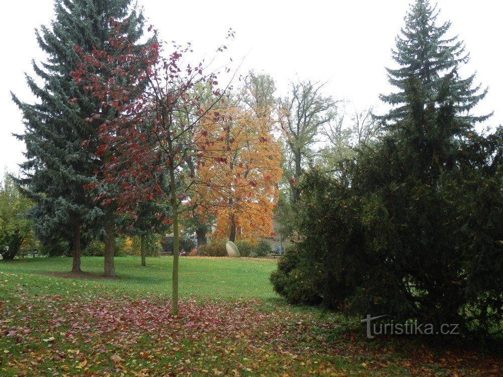 Herfst in de boomgaarden van Smetana