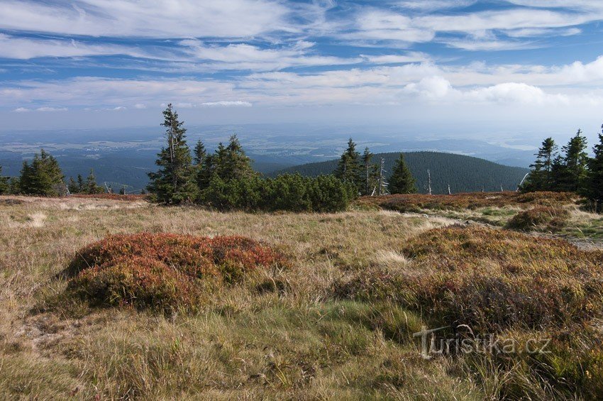 Herbst im Großen Becken