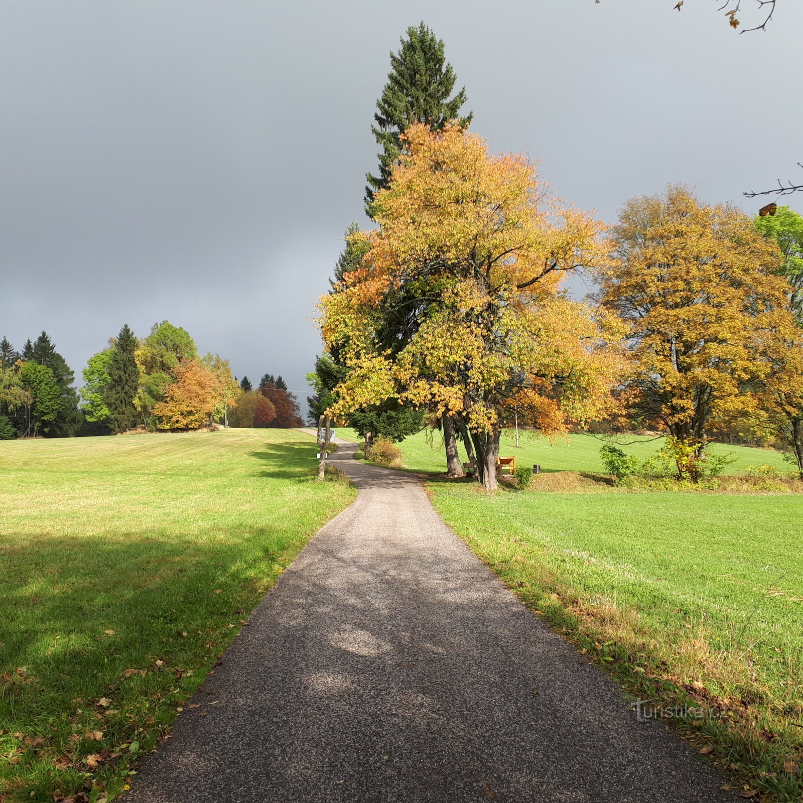 Benecko d'autunno