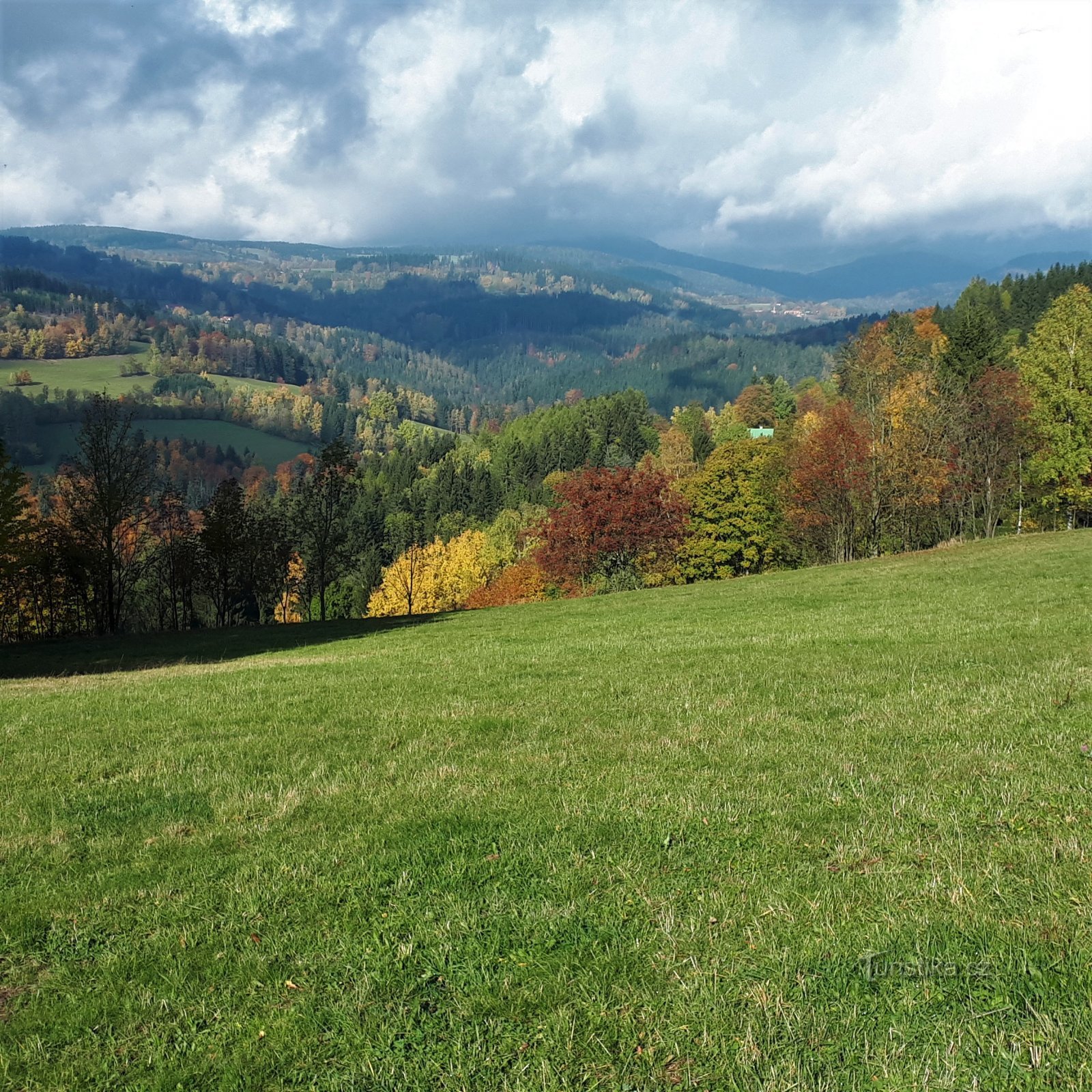 Benecko d'automne